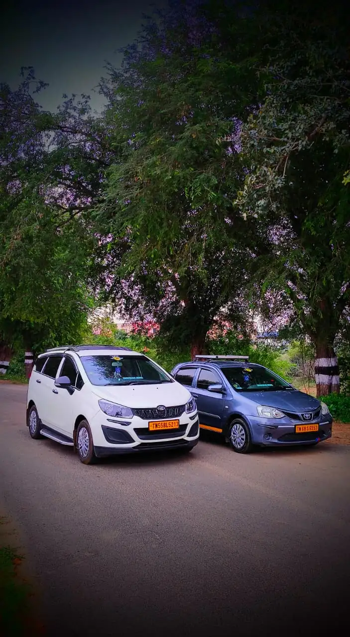 Two clean JP Travel Hub cars parked together beneath roadside trees